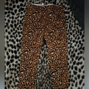 HM Leopard pants